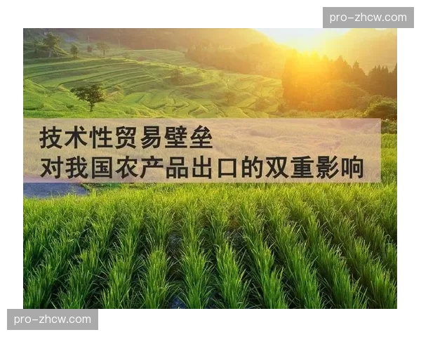 技术联盟推动开放协议制定 旨在降低行业协同与技术壁垒